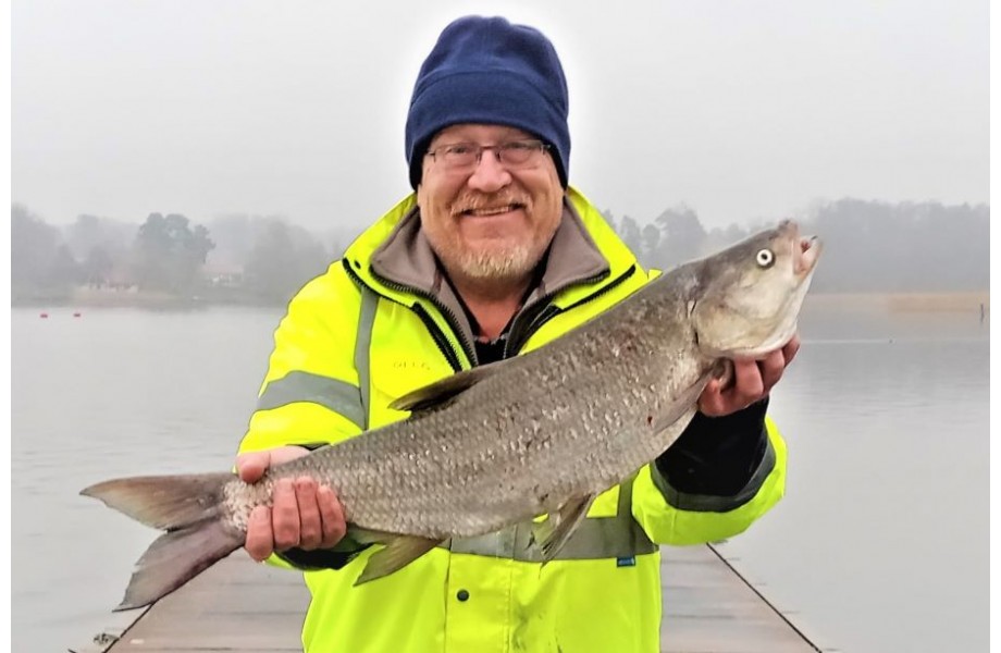Asp fishing in Sweden